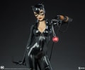 Catwoman Collector Edition View 2