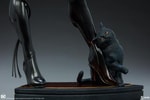 Catwoman Exclusive Edition View 12