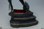 Catwoman Collector Edition View 7