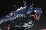 Venom View 11