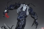 Venom View 13