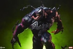 Venom View 25