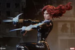 Black Widow View 21
