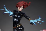 Black Widow View 30