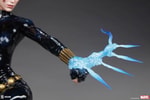 Black Widow View 34