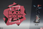 Black Widow View 2