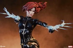 Black Widow View 12