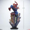 Spider-Man View 6