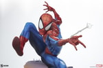 Spider-Man View 12