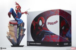 Spider-Man View 17