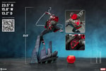 Miles Morales Collector Edition View 2