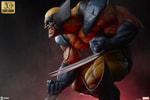 Left-angle view of Wolverine statue crouched low, highlighting his berserker rage expression, detailed muscles, iconic claws, and dramatic red underlighting. (Prototype Shown) View 4