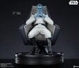 Grand Admiral Thrawn™ (Prototype Shown) View 7