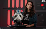 Grand Admiral Thrawn™ (Prototype Shown) View 1