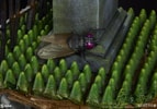 Beetlejuice (Prototype Shown) View 13