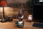 Wicket™ (Prototype Shown) View 1