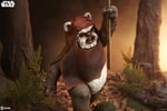Wicket™ (Prototype Shown) View 3