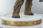 Chewbacca™ and C-3PO™ (Prototype Shown) View 15