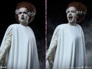 The Bride of Frankenstein (Prototype Shown) View 11