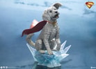 Krypto™ (Prototype Shown) View 3
