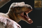 Tyrannosaurus Rex VS Triceratops Diorama Collector Edition View 6