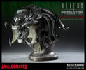 PredAlien View 2