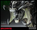 PredAlien View 3
