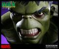 Hulk View 8