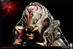 The Berserker Predator View 8