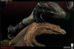 The Berserker Collector Edition View 5