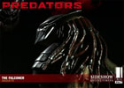 The Falconer Collector Edition View 6