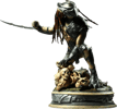 The Falconer View 10