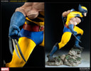Wolverine View 4