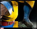 Wolverine View 5