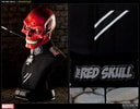 Red Skull View 5