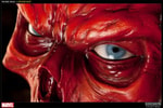 Red Skull View 7