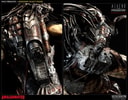 Wolf Predator View 8