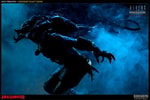 Wolf Predator View 12