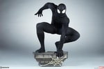 Spider-Man (Black Suit Variant)