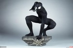 Spider-Man (Black Suit Variant)