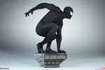 Spider-Man (Black Suit Variant)
