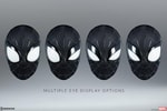 Spider-Man (Black Suit Variant)