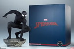 Spider-Man (Black Suit Variant)- Prototype Shown