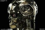 The Terminator View 10