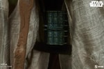 Yoda (Prototype Shown) View 14