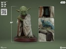 Yoda (Prototype Shown) View 2