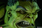 The Incredible Hulk View 3