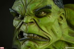 The Incredible Hulk View 12