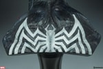 Venom View 17