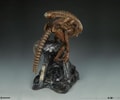 Alien Warrior - Mythos Collector Edition View 9